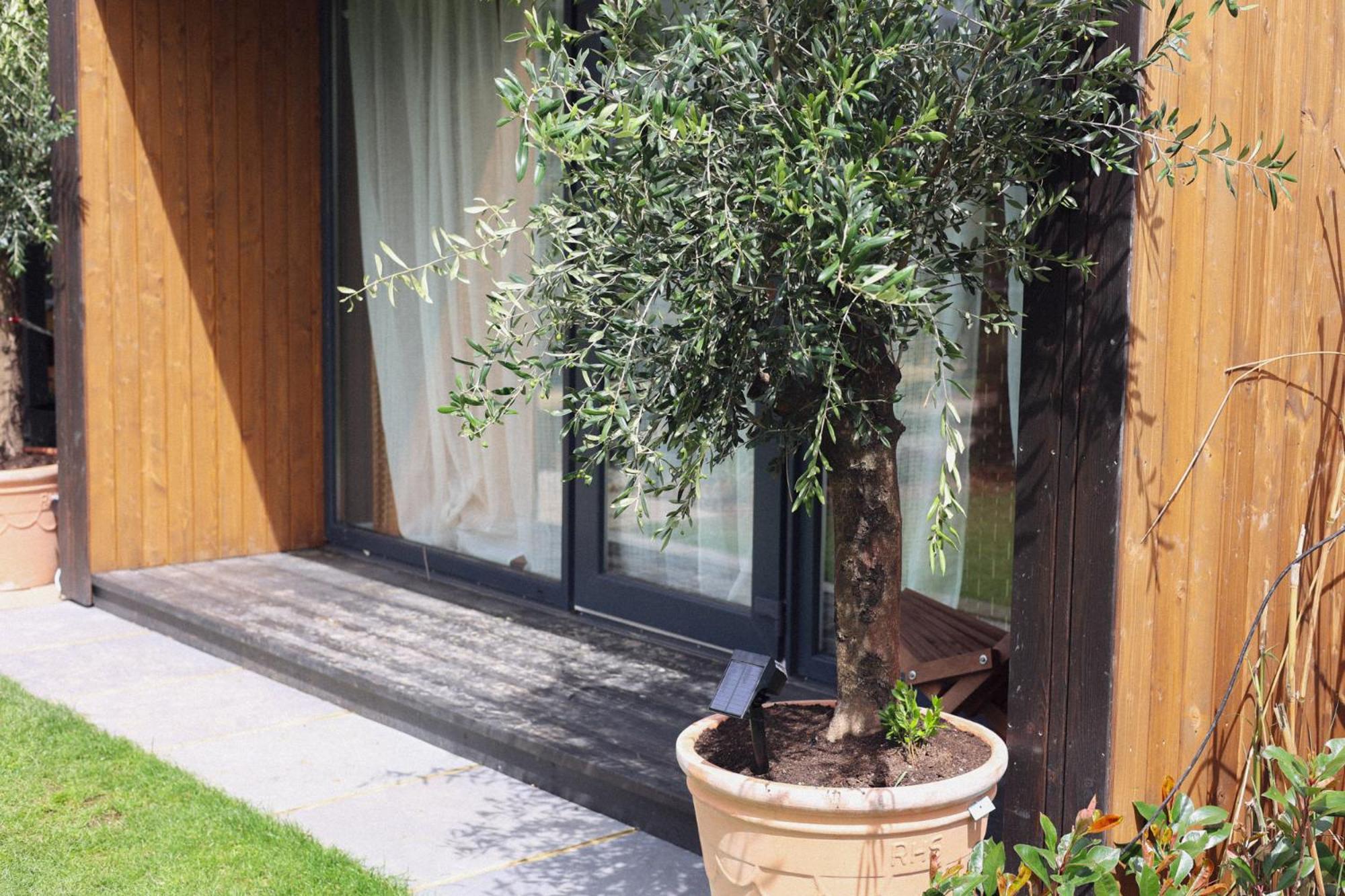 Dragonfly Glamping Spa Retreat Ashford  Exterior foto