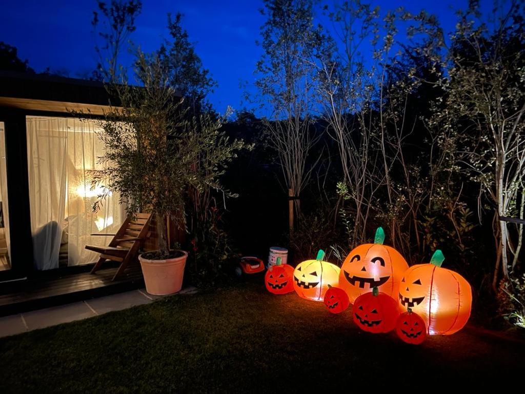 Dragonfly Glamping Spa Retreat Ashford  Exterior foto